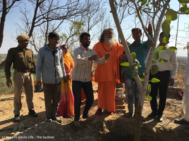 150th World Peace Tree planted by Vishwaguruji in OM Ashram